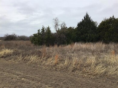 23124 Greenbriar Dr, Whitney, TX 76692 - photo 4