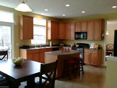 The expansive kitchen, large enough for full size 