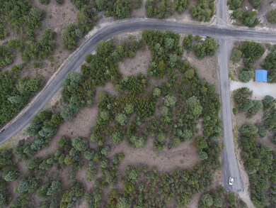DJI_0077