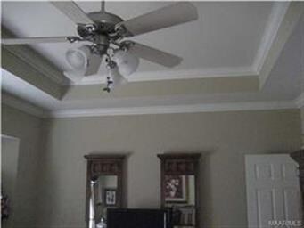 Trey ceiling in main bedroom