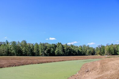 7530 W Private Rd 775 S, Commiskey, IN 47227 - photo 3