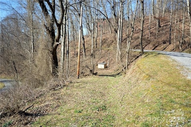 24 Lochmoor Ln, Waynesville, NC 28785 - photo 7