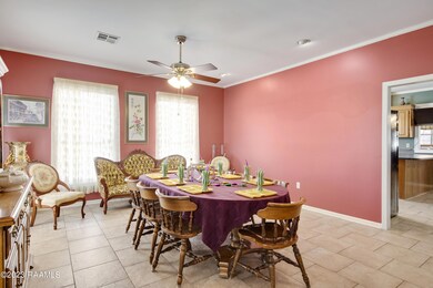 207 La Rue Christ-Roi, Carencro, LA 70520 - photo 5