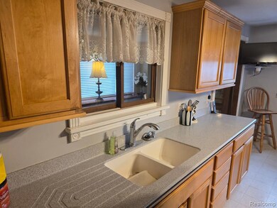 721 Lee Ave, Vicksburg, MI 49097 - photo 5