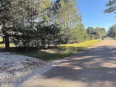 26430 Clyde Blount Rd, Outside Area (Outside Ca), LA 70754 - photo 2