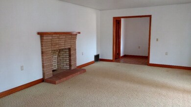 LIVING FIREPLACE