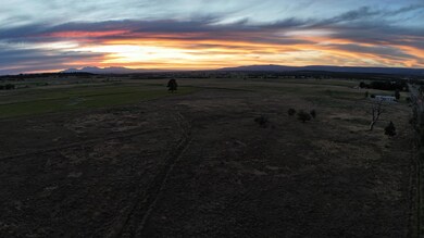 115 S Oro Place, Norwood, CO 81423 - photo 4