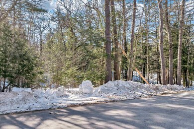 Off Durell Rd, Tamworth, NH 03886 - photo 7