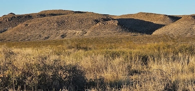 598 Starhaven Ln, Terlingua, TX 79830 - photo 2