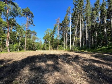 View of driveway from clearing