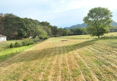 0 Hickory Hill Rd, Purgitsville, WV 26845 - photo 4