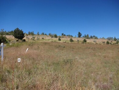 Beautiful, Gentle Sloping View Lot!