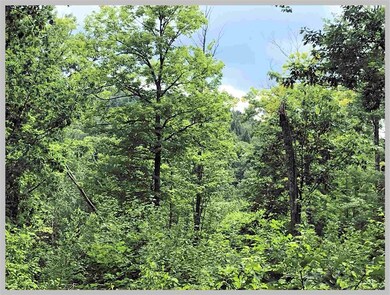 Lot #14 Point of View Dr, Plymouth, NH 03264 - photo 7