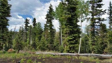 385 S Cascade Dr Zvme E-41, Duck Creek Village, UT 84762 - photo 7