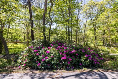 382 Edg. - VH Road, Edgartown-web-6