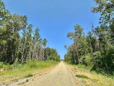 0 Highway 25 unit 11444421, Brandon, MS 39042 - photo 4