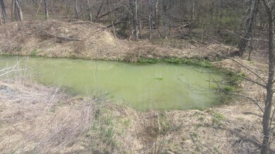 00 State Route 54 unit LOT 2, Watsontown, PA 17777 - photo 4