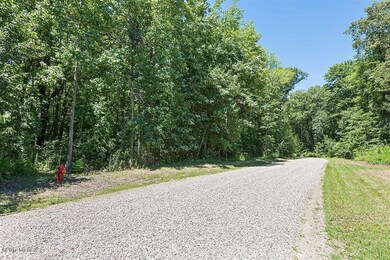 19183 White Pine Dr unit 4, New Buffalo, MI 49117 - photo 4