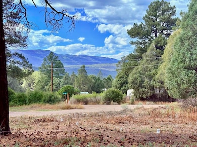 22 Blue Jay Place, Pagosa Springs, CO 81147 - photo 2