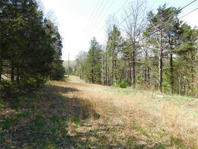 View just as you get on the property looking towar