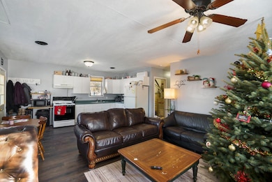 3955 N River Dr, Newaygo, MI 49337 - photo 4