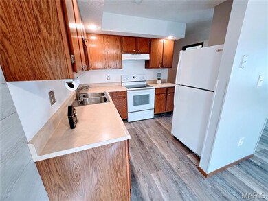 6 Fig St unit 7, Sullivan, MO 63080 - photo 6