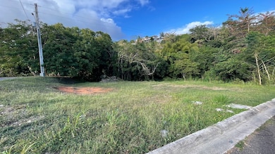 402 Km 3 9, Anasco, PR 00610 - photo 2