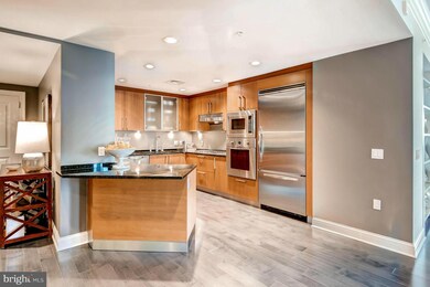 The Ritz-Carlton Residences, Baltimore, MD 21230 - photo 7