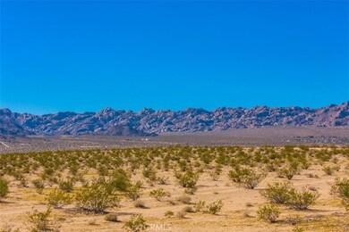 70147 Cove View Rd, Twentynine Palms, CA 92277 - photo 5