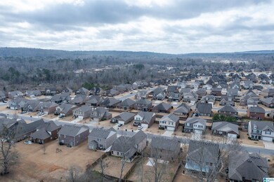 760 Crider Rd, Maylene, AL 35114 - photo 5