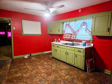 Kitchen featuring ceiling fan, sink, dark tile pat