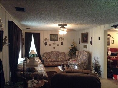 Large living room with lots of natural light.