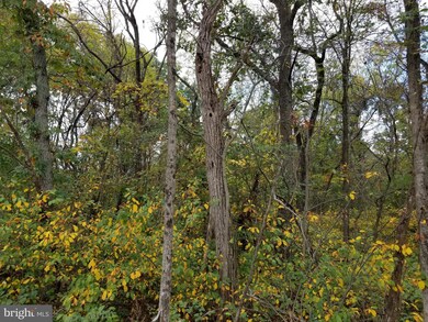 0 Lot 6 Langhorne Dr unit 1003394521, Winchester, VA 22602 - photo 4