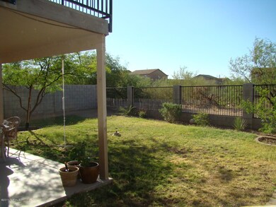 Back yard