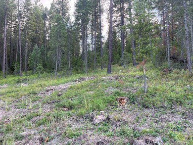 TBD Granite Lake Rd unit 6, Libby, MT 59923 - photo 6