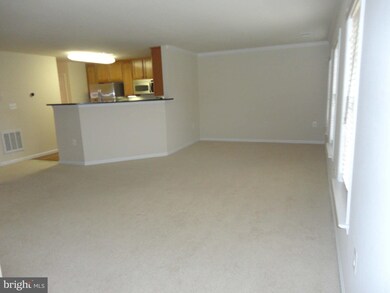 2801 Chinkapin Oak Ln unit 217, Woodbridge, VA 22191 - photo 3