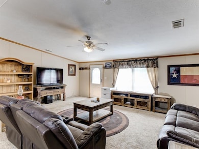 302 Pine Bluff Ln, Springtown, TX 76082 - photo 7