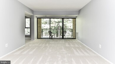 2066 Royal Fern Ct unit 21B, Reston, VA 20191 - photo 5