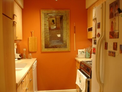 Kitchen View 1