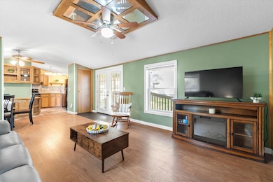 Livingroom with Ceiling Fan