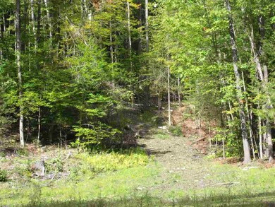 00 Perch Pond Rd, Lisbon, NH 03585 - photo 2