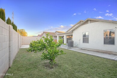 Backyard with Citrus Trees