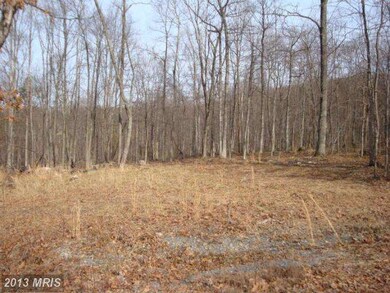 77 Driftwood Dr, Gerrardstown, WV 25420 - photo 2