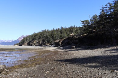 IMG_0357 - Copy