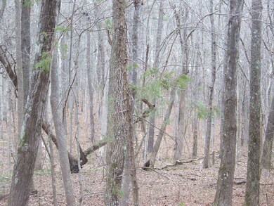 00 Lewis Rd, Oxford, NC 27565 - photo 3