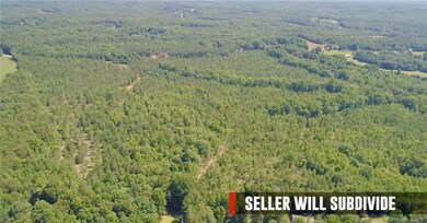 Approx. 5 Acres Vesuvius Furnace Rd, Iron Station, NC 28080 - photo 6