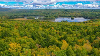 041 Tanner Way, Bridgton, ME 04009 - photo 4