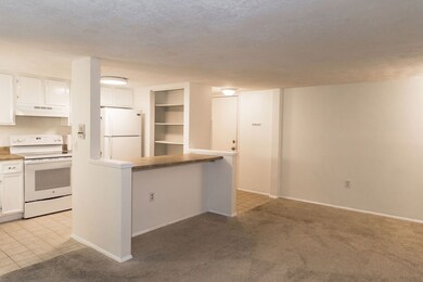 another view of the kitchen and front door from th