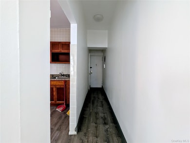 149 S 4th St unit 25, Brooklyn, NY 11211 - photo 5