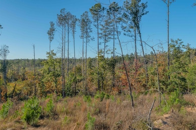 000 Quarter Round Rd, Pacolet, SC 29372 - photo 3